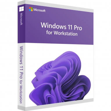 Microsoft Windows 11 Pro for Workstations 64 Bit